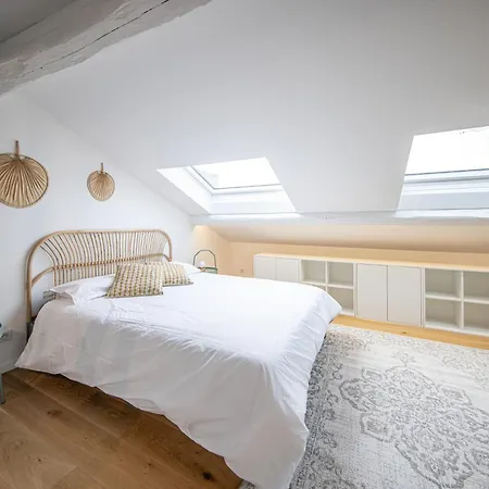 Loft Design Avec Toit-terrasse En Hyper Centre