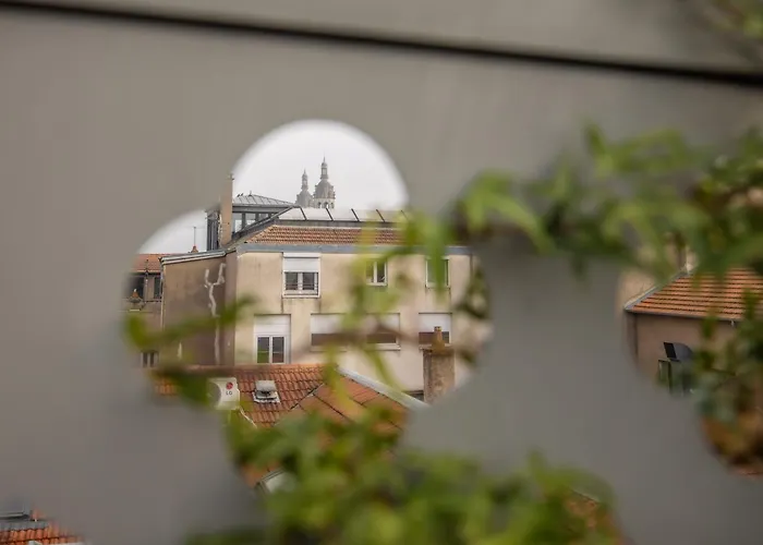 Loft Design Avec Toit-terrasse En Hyper Centre Nancy